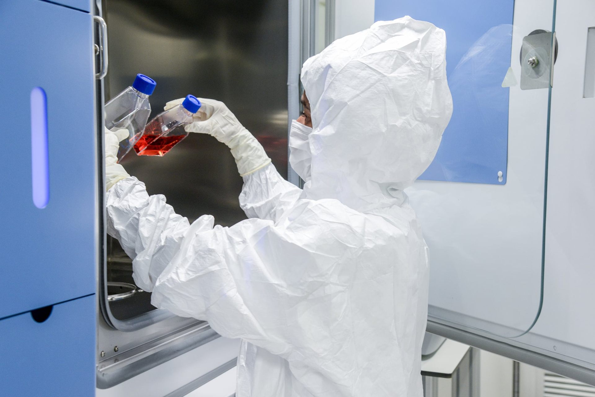 Researcher in cleanroom suit handling cell culture flasks